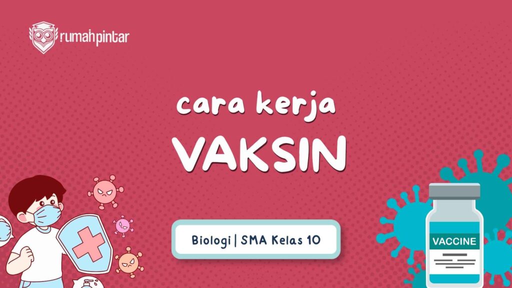 Cara Kerja Vaksin