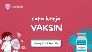 Cara Kerja Vaksin