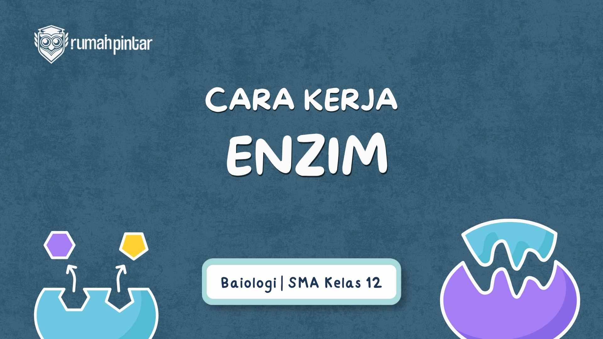 Cara kerja enzim