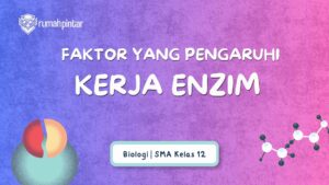 Faktor yang memengaruhi kerja enzim