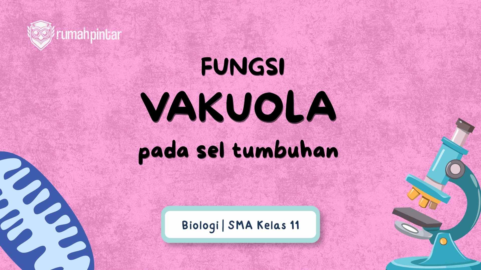 Fungsi Vakuola pada Sel Tumbuhan