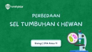 Perbedaan Sel Hewan dan Tumbuhan