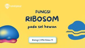 Ribosom pada Sel Hewan