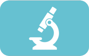 kelas biologi